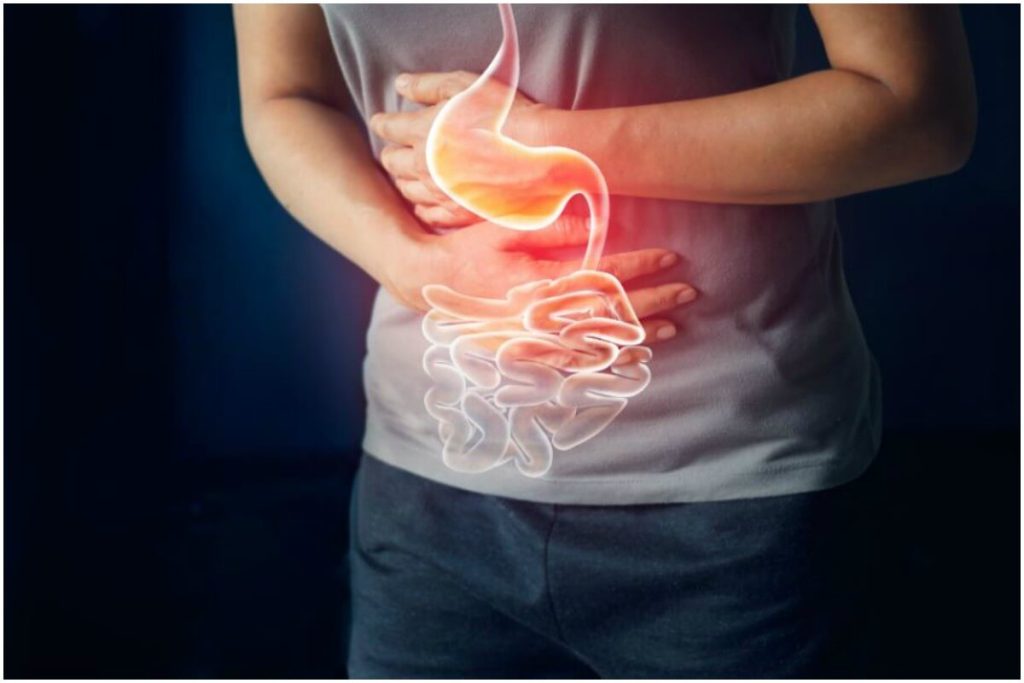 Everything you need to know about Digestive Health