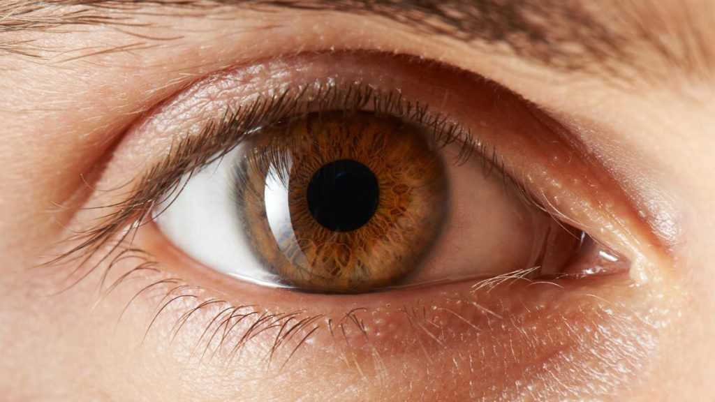 What Is The Best Vitamin Supplement For Eye Health?